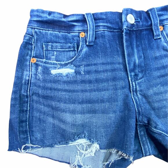 BlankNYC The Astor Cut-Off Raw Hem Denim Short Size 25 Blue Jean Shorts - Picture 2 of 12